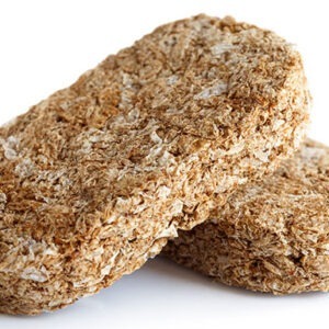 Two whole wheat breakfast biscuits isolated on white in perspective.